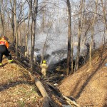 Brush Fire Congress Rd