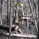 Brush Fire Short Brook Rd