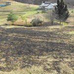 Brush Fire Short Brook Rd